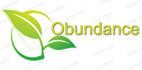 logo_example 2